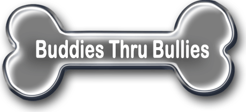 Buddies Thru Bullies